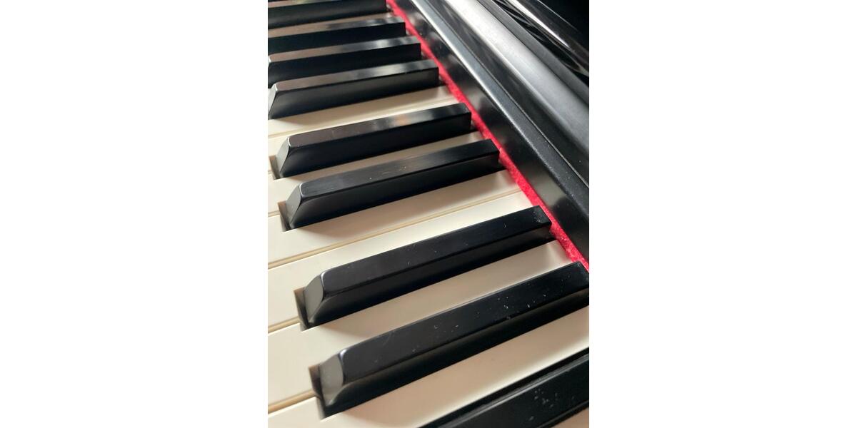 Gewerbeobjekt Potsdam - 50&euro; | Angebot:26323256