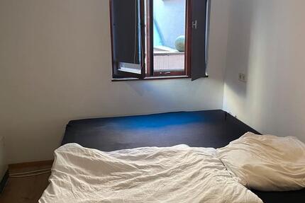 Wohnung zu vermieten 1 zimmer