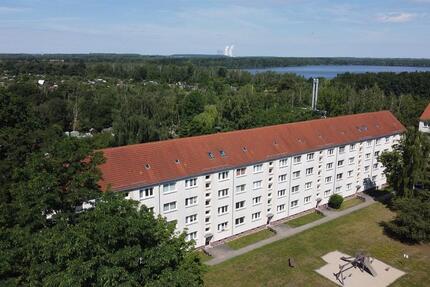 Gemütliche Zweiraumwohnung zimmer
