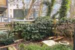 Etagenwohnung Hamburg Ottensen - 2 Zimmer, 48 m&sup2;, 1.071&euro; | Angebot:26909880