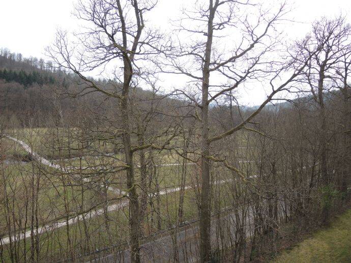 Etagenwohnung Bad Brückenau Staatsbad Brückenau - 4 Zimmer, 96 m&sup2;, 585&euro; | Angebot:26796331