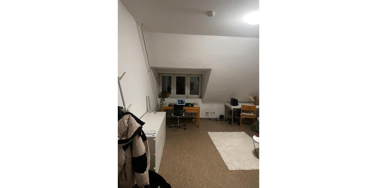 Wohnen auf Zeit Mannheim Neckarstadt-Ost - 1.5 Zimmer, 20 m&sup2;, 510&euro; | Angebot:23318138