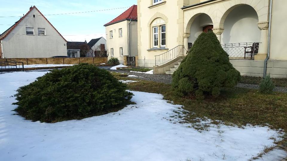 Gewerbeobjekt Lauchhammer - 850&euro; | Angebot:24704463