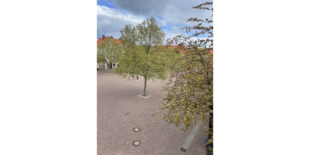 Gewerbeobjekt Bitterfeld-Wolfen Bitterfeld - 570&euro; | Angebot:23035992