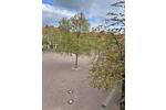 Gewerbeobjekt Bitterfeld-Wolfen Bitterfeld - 570&euro; | Angebot:23035992