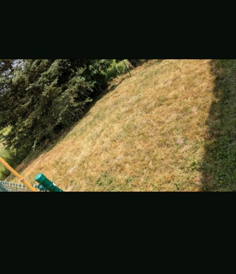 Haustiere willkommen, eigener Garten am See, EinZimmerwohnung
