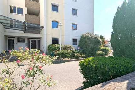 Büro in Köln 2.363 € 278 m² zimmer