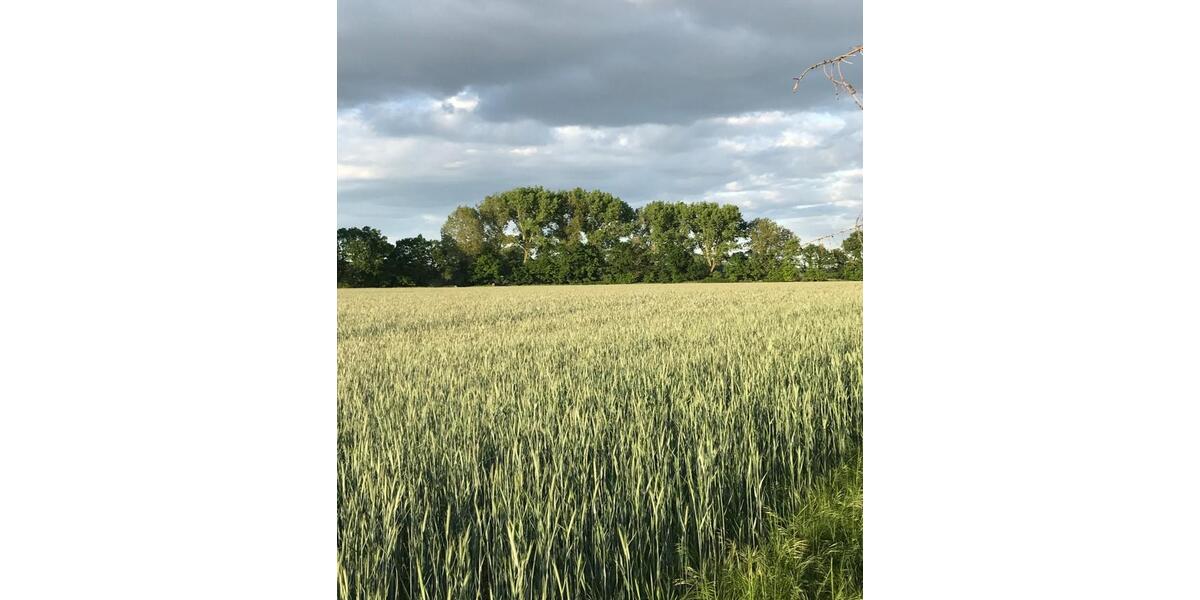 Etagenwohnung Müden (Aller) - 3 Zimmer, 66 m&sup2;, 539&euro; | Angebot:25830431