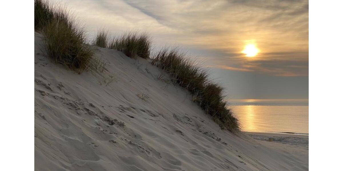 Etagenwohnung Rees - 1 Zimmer, 85 m&sup2;, 800&euro; | Angebot:25514448