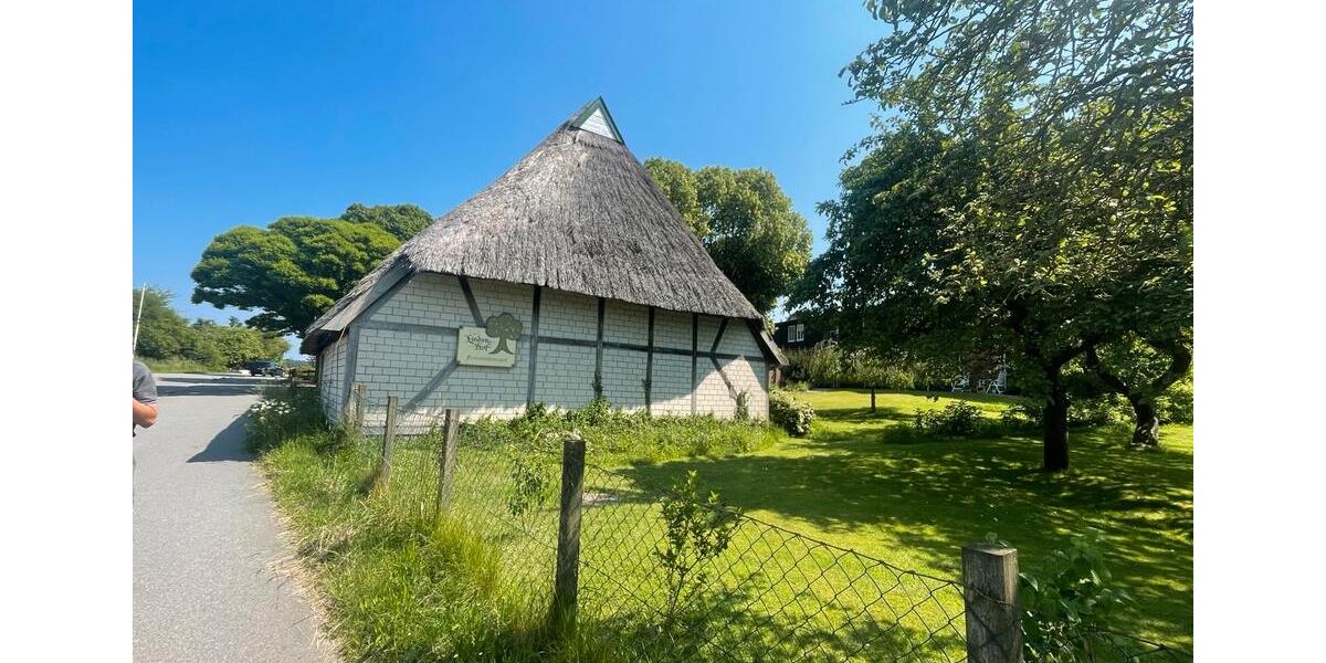 Terrassenwohnung Lütjenburg - 2 Zimmer, 65 m&sup2;, 790&euro; | Angebot:23497072