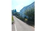 Dachgeschoßwohnung Bad Dürkheim - 2 Zimmer, 61 m&sup2;, 800&euro; | Angebot:26705184