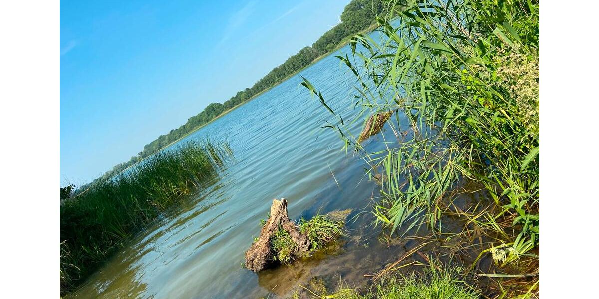 Etagenwohnung Lübeck Sankt Lorenz Nord - 1 Zimmer, 40 m&sup2;, 395&euro; | Angebot:12322073