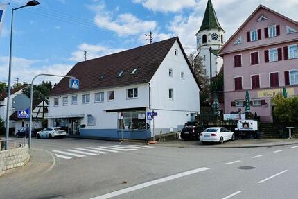 3-Zi.-Maisonettewohnung mit Terrasse und KFZ-Stellplatz in Notzingen. Erstbezug nach Modernisierung. zimmer