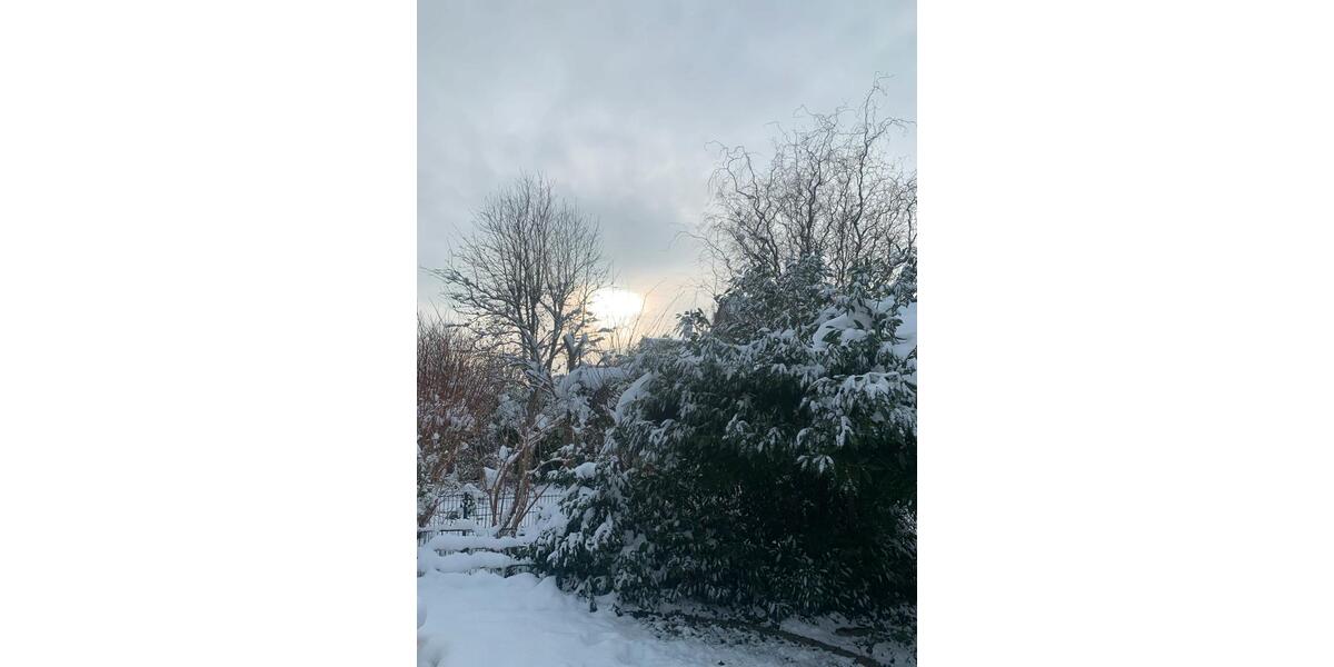 Vermietung Harsefeld 3 Zimmer EG Wohnung zentral 3 zimmer