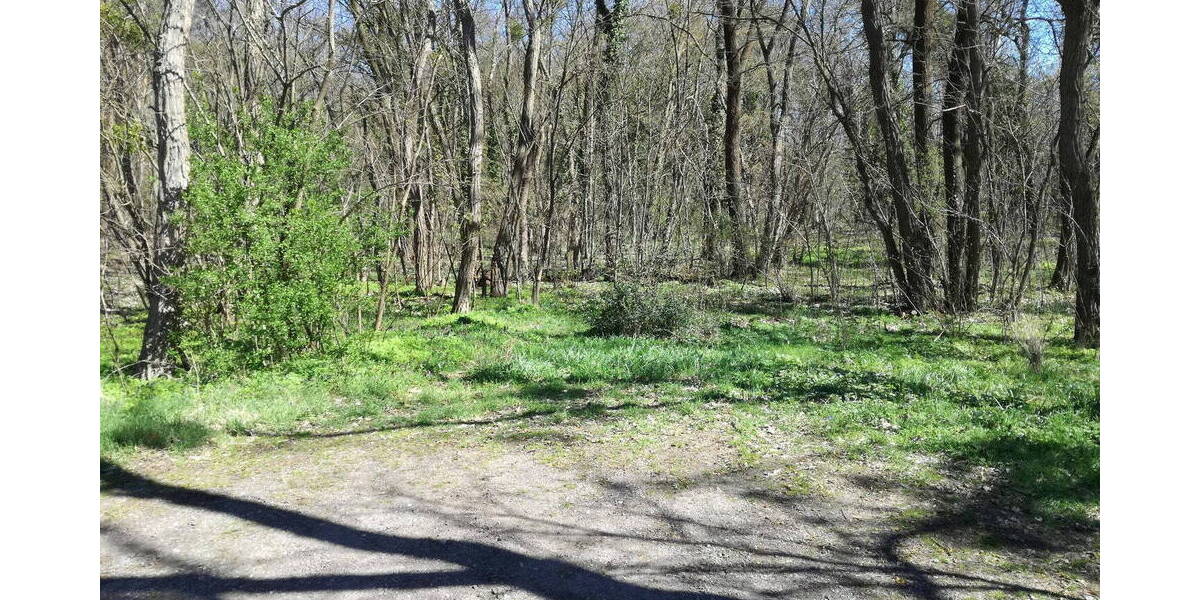 Etagenwohnung Coswig Düben - 3 Zimmer, 60 m&sup2;, 635&euro; | Angebot:26044994