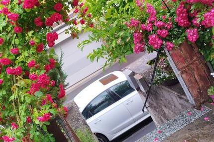 Wohnung Karlstadt - 2.5 Zimmer, 70 m&sup2;, 800&euro; | Angebot:25124430