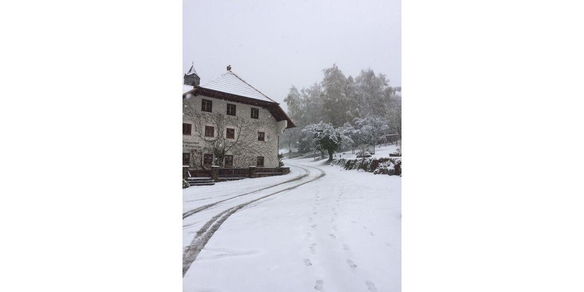 Etagenwohnung Arrach - 3.5 Zimmer, 450&euro; | Angebot:11047614