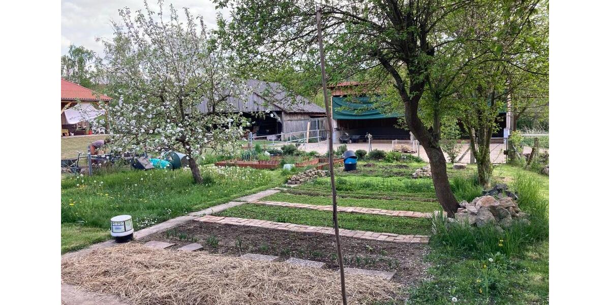 Wohnen auf Zeit Bad Münder am Deister - 1 Zimmer, 32 m&sup2;, 500&euro; | Angebot:25378824