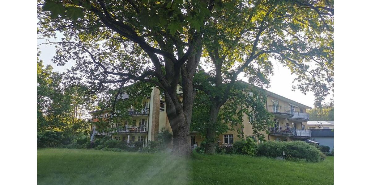 Dachgeschoßwohnung Hitzacker (Elbe) - 3 Zimmer, 79 m&sup2;, 900&euro; | Angebot:26462007