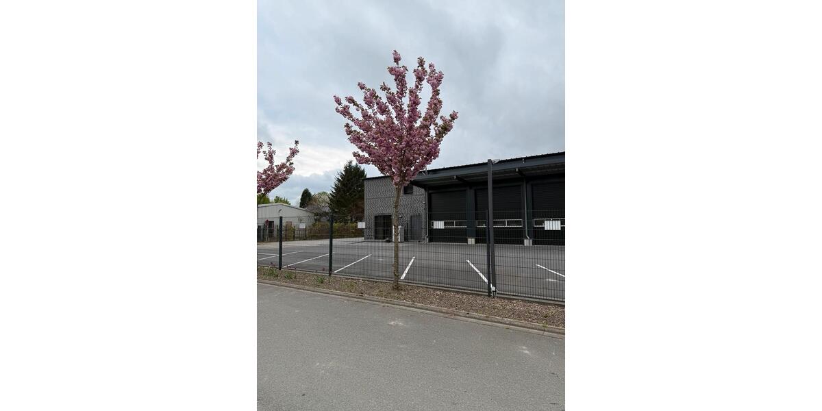 Gewerbeobjekt Rosendahl - 2.000&euro; | Angebot:26302431