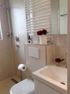 Wohnen auf Zeit Stuttgart Stuttgart-West - 1 Zimmer, 32 m&sup2;, 920&euro; | Angebot:25992779