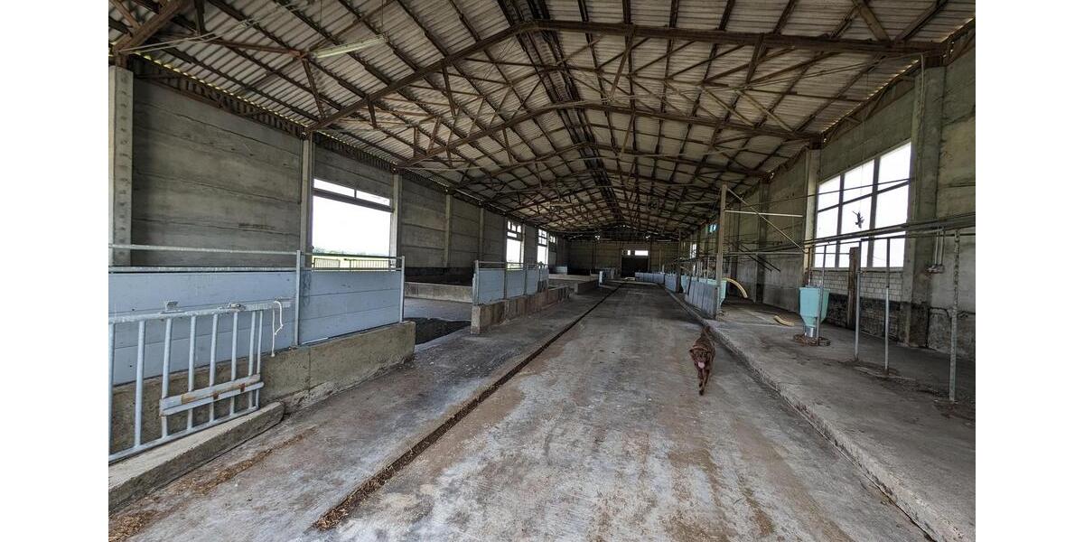 Gewerbeobjekt Jessen (Elster) - 785&euro; | Angebot:24373632