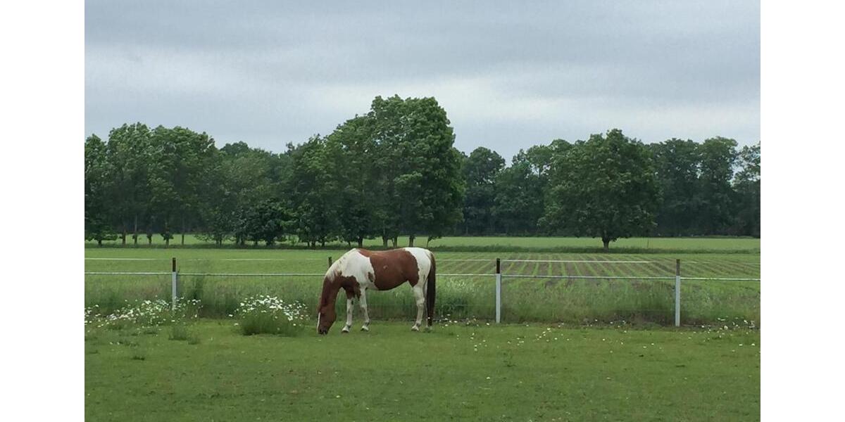 Einfamilienhaus Fürstenau - 6 Zimmer, 200 m&sup2;, 1.350&euro; | Angebot:25892935