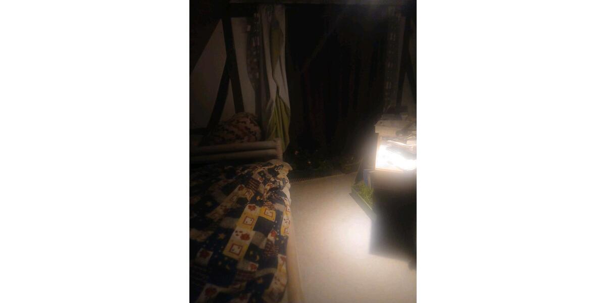 Wohnung mit Klavier 3 zimmer