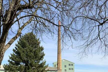 Halle in Bad Münstereifel 4.080 € 1360 m² zimmer