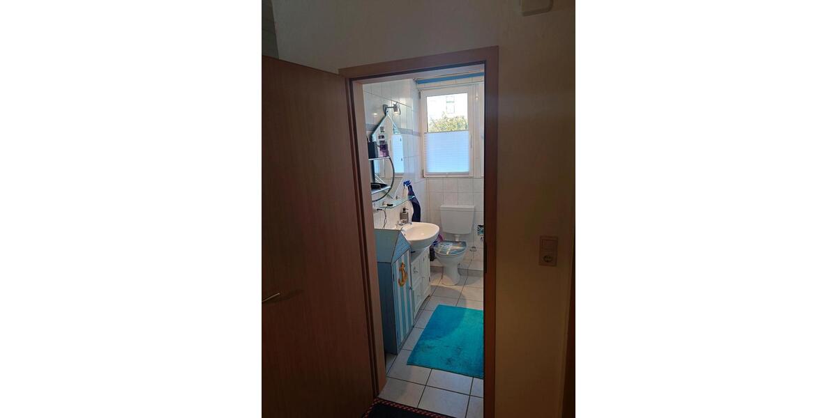 1 Raumwohnung 1 zimmer