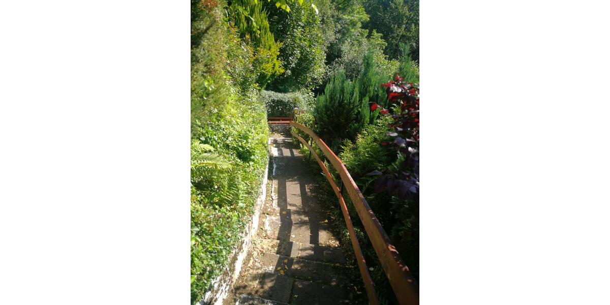 Harz Ferienhaus Blockhaus 6 Pers +Hund 2 Kamine gr Grundst. süd H 4 zimmer