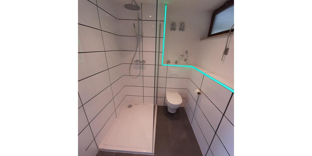 Dachgeschoßwohnung Baiersbronn - 2 Zimmer, 65 m&sup2;, 800&euro; | Angebot:26001344