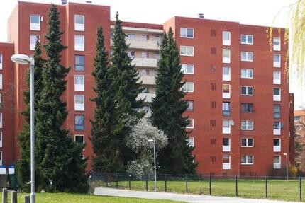 Wohnung Lüneburg Ebensberg - 3 Zimmer, 81 m&sup2;, 693&euro; | Angebot:25362116