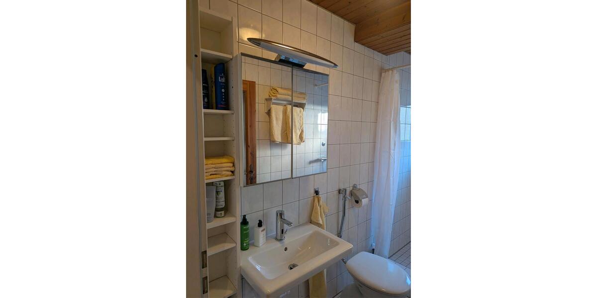 Wohnen auf Zeit Renningen - 2 Zimmer, 45 m&sup2;, 1.480&euro; | Angebot:24854511