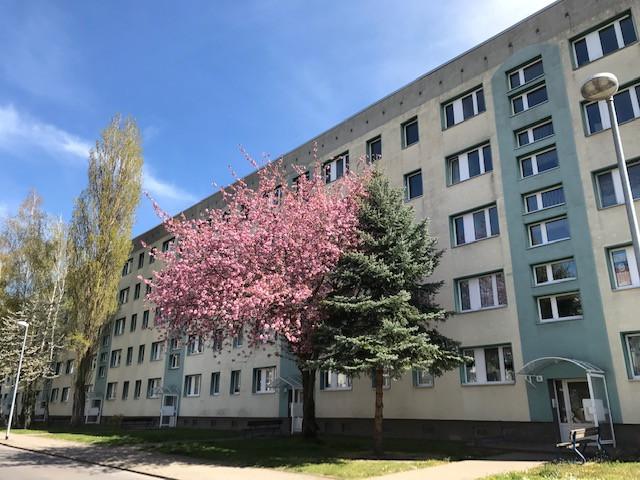 Etagenwohnung Staßfurt - 3 Zimmer, 60 m&sup2;, 449&euro; | Angebot:26262165