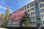 Etagenwohnung Staßfurt - 3 Zimmer, 60 m&sup2;, 449&euro; | Angebot:26262165