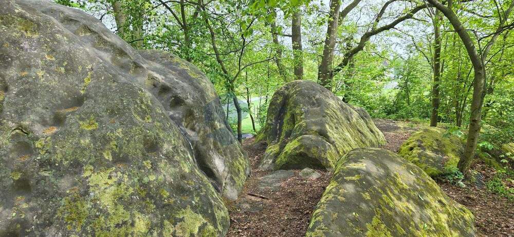 Etagenwohnung Wolfsburg Hohenstein - 3 Zimmer, 59 m&sup2;, 424&euro; | Angebot:25774539