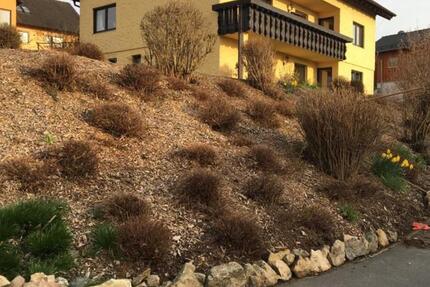 FerienwohnungMonteurwohnung 3 zimmer