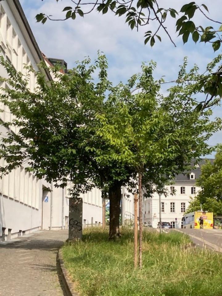 Top renovierte Wohnung
