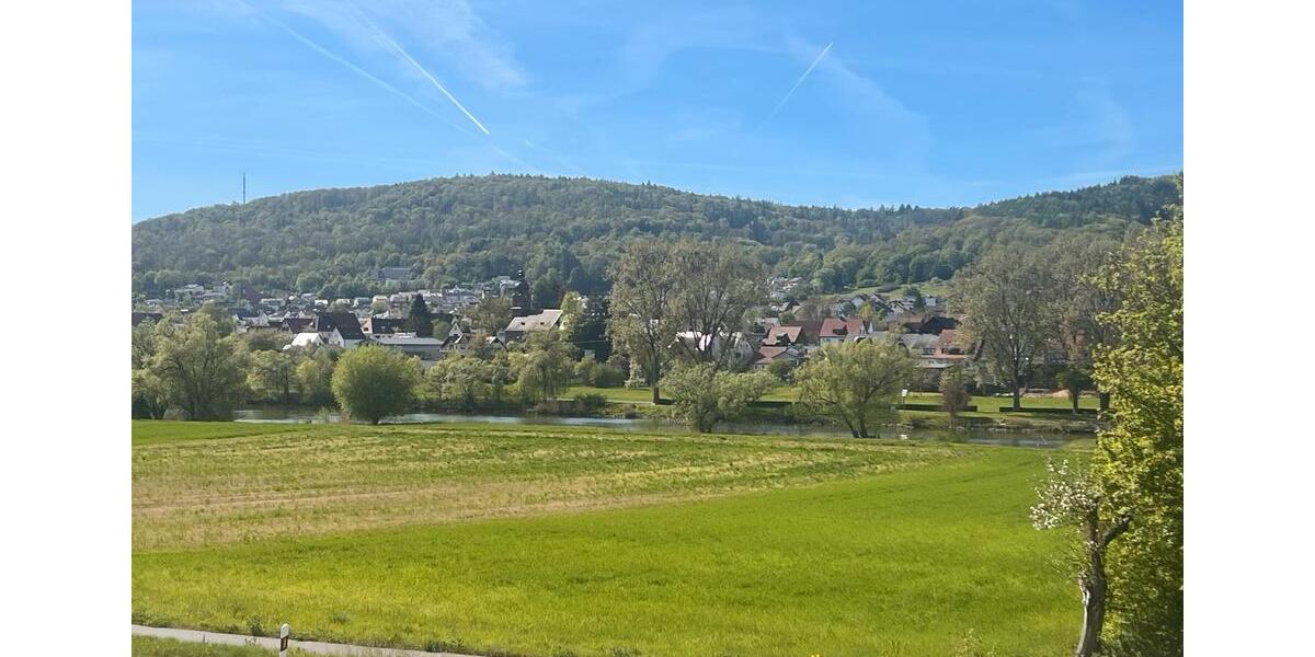Etagenwohnung Lohr am Main - 2 Zimmer, 81 m&sup2;, 1.020&euro; | Angebot:26085023