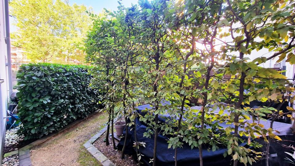 Wohnen auf Zeit Düsseldorf Stadtbezirk 3 - 2.5 Zimmer, 69 m&sup2;, 1.800&euro; | Angebot:25864306