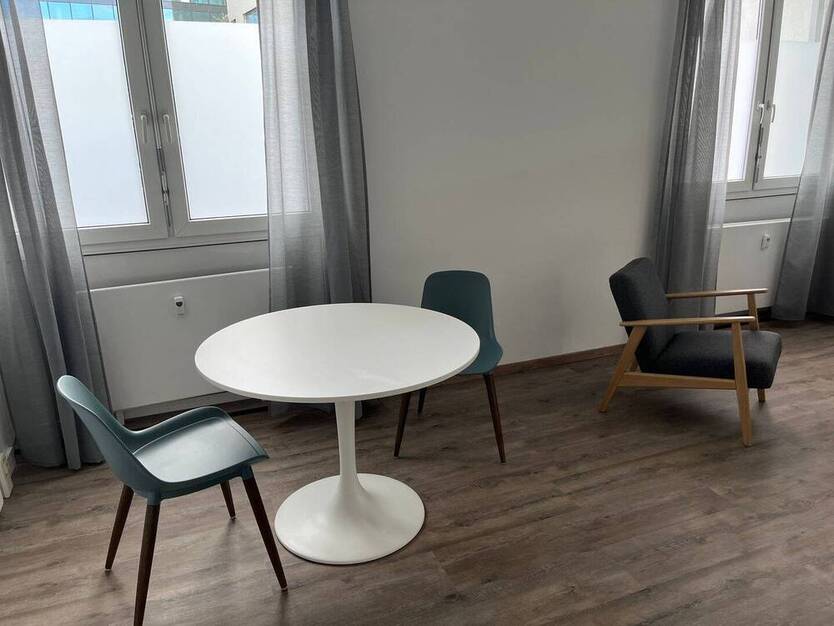 Business-Wohnen - Neu und sehr geschmackvoll möbliertes 1 Zimmer-Appartement im EG, Außenstellplatz oder TG-Stellplatz optional
