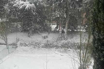 2-Zimmerwohnung mit eigenem Garten, Nähe Stadtkern 2 zimmer