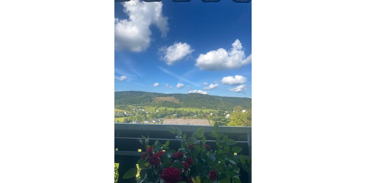 Erdgeschoßwohnung Winterberg - 1 Zimmer, 49 m&sup2;, 365&euro; | Angebot:26700823