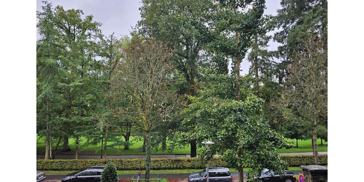 möbiliertes Wohnen in einer sonnigen 4 Zimmer Wohnung im Nerotal 4 zimmer