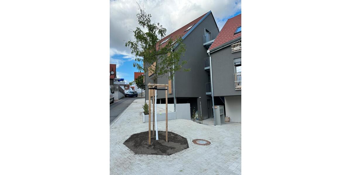 Etagenwohnung Rottenburg am Neckar - 3 Zimmer, 83 m&sup2;, 1.390&euro; | Angebot:24394279