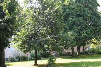 Wohnung Iserlohn Nußberg - 2 Zimmer, 44 m&sup2;, 379&euro; | Angebot:25272527