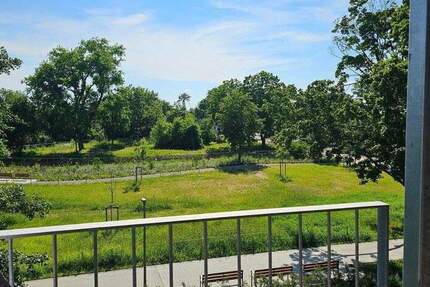 Bellevue 5 Zimmer mit großem Sonnen-Balkon 5 zimmer