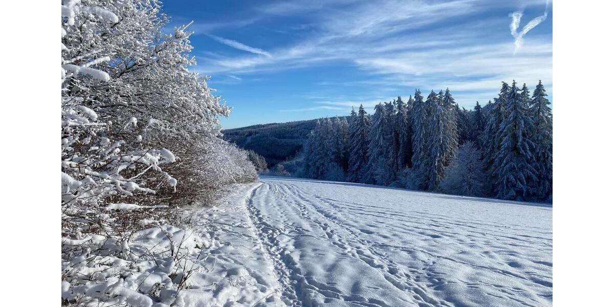 Etagenwohnung Winterberg - 2 Zimmer, 58 m&sup2;, 590&euro; | Angebot:25648699