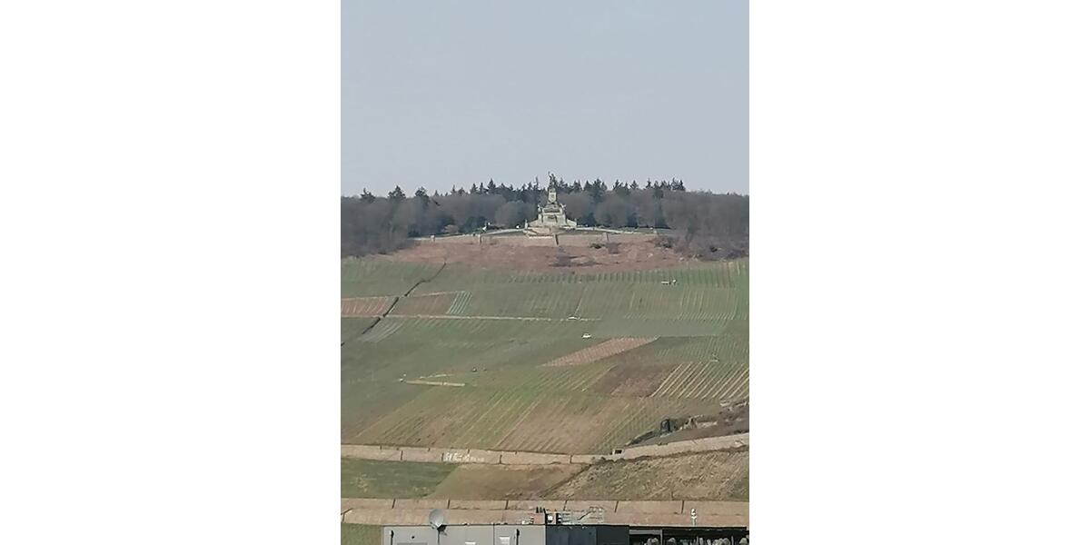 Dachgeschoßwohnung Bingen am Rhein - 2 Zimmer, 104 m&sup2;, 1.050&euro; | Angebot:26267774